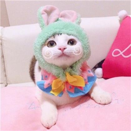 可爱又治愈的早安文案