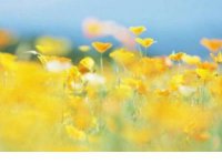 ​形容下雨天的心情句子（下雨天形容心情的句子）