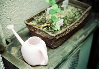 ​欧美男生网名