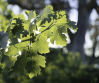 ​支付宝起什么名字好听_瞳孔渲染柔情╮