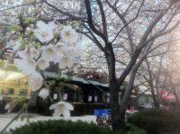 ​晚安心语唯美简短句子 心情烦躁晚安的说说