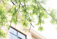 ​女生励志网名