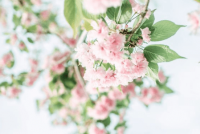 ​心痛的网名女生繁体字_曉筠