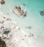 ​御龙在天网名