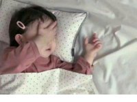 ​动物园里的动物真有趣 去过动物园的心情句子