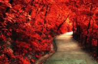 ​比喻心情不好的句子（形容心情好的比喻句）