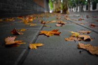 ​自己结婚8周年发朋友圈说说(告别朋友圈心情说说)