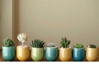 ​男人欺骗感情 被爱人欺骗的心情短语