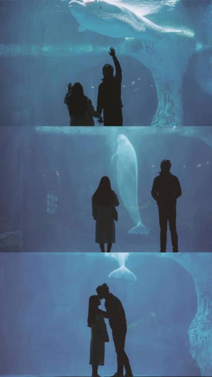 10条心情的句子经典语录