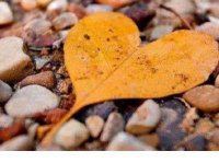 ​男生失恋伤感语录 失恋图片男生