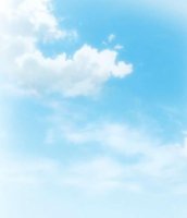 ​心灵鸡汤经典语录（经历励志的句子说说心情）