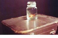 ​闺蜜绝交后的伤感句子（闺蜜分离伤感的句子）