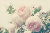 ​女人心情经典说说图片 经典语录太经典了霸气