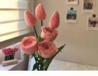 ​情绪低落（心情不好怎么发朋友圈）