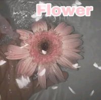 ​想跟你结婚的说说（看结婚录像的心情说说）