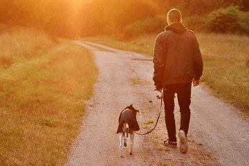 可爱的女生微信名字