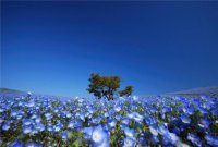 ​雨天忧伤[16条] (下雨图片唯美伤感)