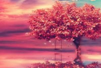 ​佛曰经典语录