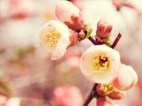 ​2023年经典心情语录