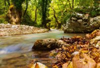 ​励志语录经典段落