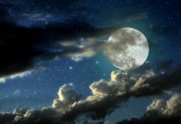 ​陈二狗的妖孽人生经典语录