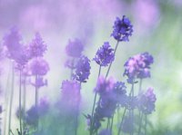 ​2023qq心情经典语录