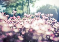 ​郭敬明经典语录