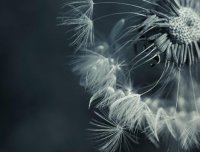 ​谁的青春不迷茫经典语录