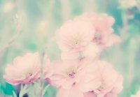 ​郭敬明小说经典语录