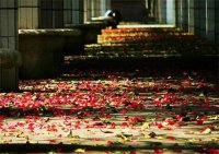 ​卢思浩经典语录