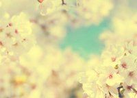 ​表达心情的经典语录