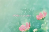 ​早晨好心情语录