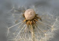 ​张爱玲语录经典语录 张爱玲最深情的一句话