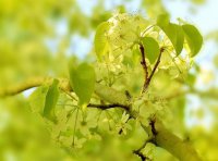 ​表达心情的一句话