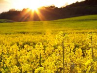 ​好心情的经典语录