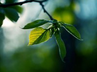 ​心情签到语录