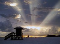 ​王小波经典语录