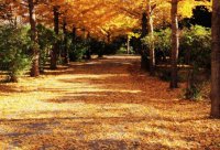 ​励志正能量语录