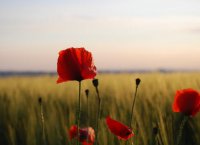 ​一段话经典心情语录