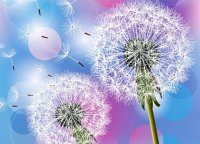 ​郭德纲经典语录