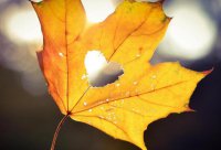 ​心灵鸡汤经典语录