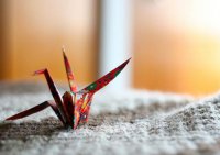 ​胡一菲经典语录