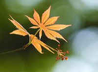 ​肖申克的救赎40句经典台词