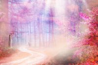 ​佛学经典语录