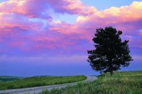 ​狄更斯双城记经典语录