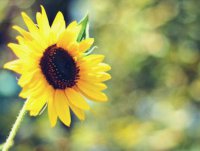 ​爱情励志语录