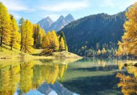 ​陪伴经典语录