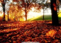 ​心灵语录短句