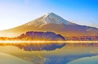 ​张小娴人生语录