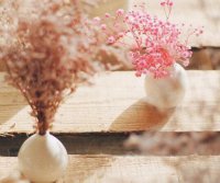 ​心灵鸡汤经典语录短句